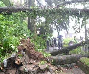 three person died due to heavy rainfall in himachal