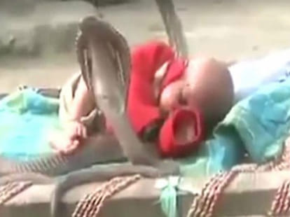 viral videos in india