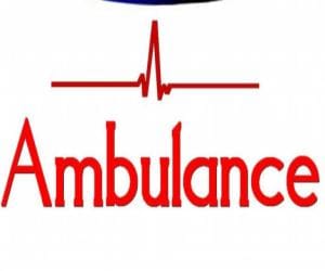 hp govt will start palki ambulence service in villeges