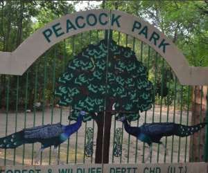 Forest Department officials_ accused_ negligence_ imposed_villagers