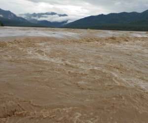 heavy rain in Himachal, one death