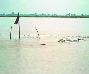 cbi failed to exhume bodies on sunday