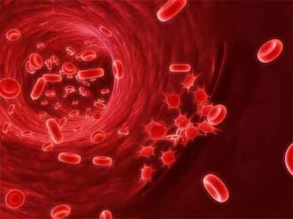 vastu effect cancer disease
