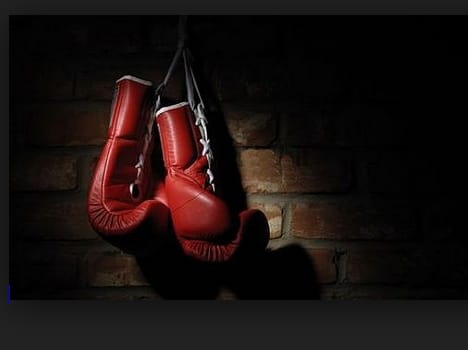 boxer harprit