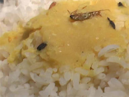 cockroach found in food of rajdhani express