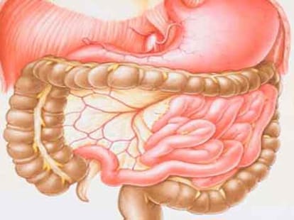 vastu effect cancer disease
