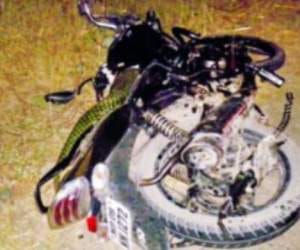 Road accident in Faridabad, 3 dead