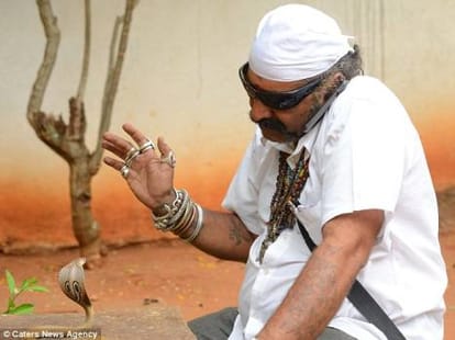 man who catches 10 snakes per day