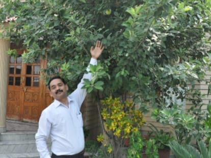 apple tree in 32 degree temperature