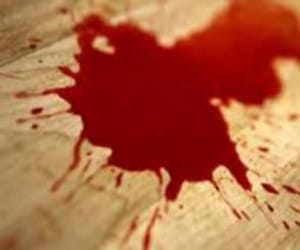 robbers attack on mother daughter.