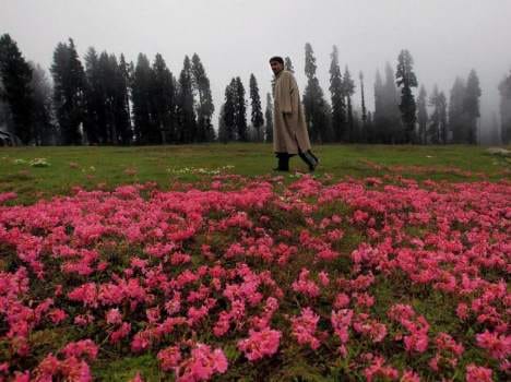 nagin jheel of srinagar