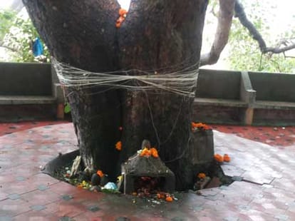 shryeekoti temple at himachal