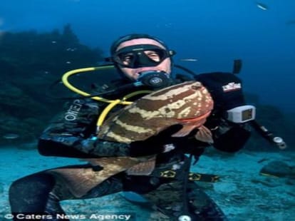 wonderful kiss between a diver and a fish