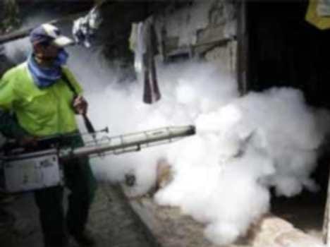 alert for dengue in panchkula, fogging campaign will start
