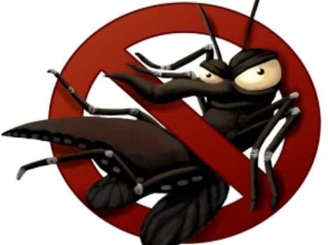 dengue in dehradun