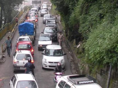 342 trees were felled for the construction of flyovers.