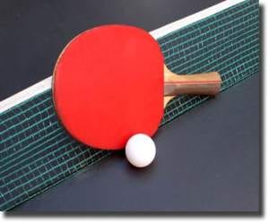 krish and visha will compete in final of table tennis championship
