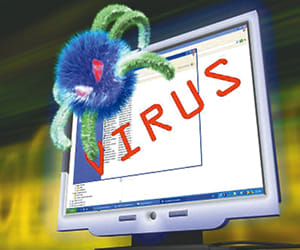 ebola virus