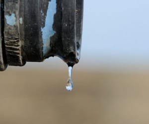 drinking water supply in cm assembly area.