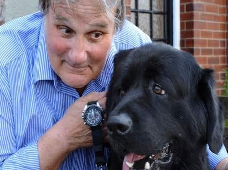 dog swallows wrist watch jp