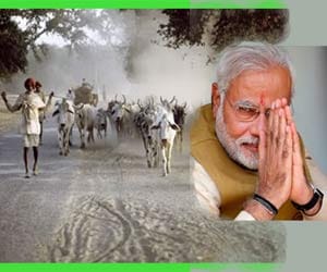 modi government plans to promot indian cow