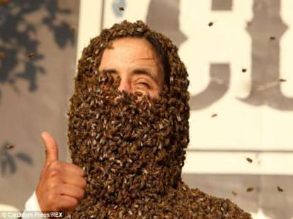bee beard competition jp