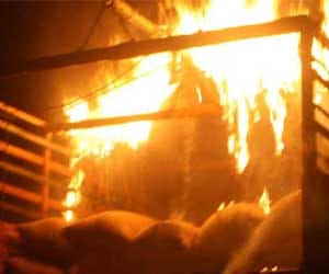 rape in allahabad