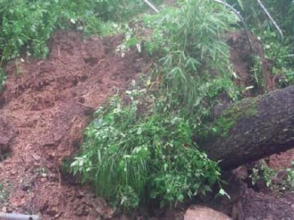 heavy rain in uttarakhand