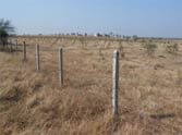 The ownership of land and people got Lalkuan