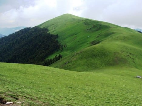 bedni bugyal in uttarakhand