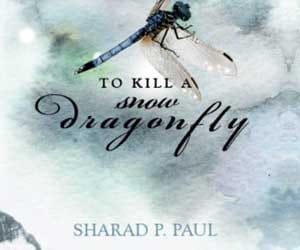 two kill a snow dragonfly book review
