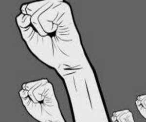panthers protest against gov