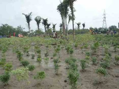 janeshawar mishra park in lucknow