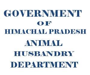himachal govt regularize 44 veterinary doctors