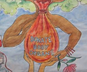 Important Knowledge about Body Organ Donation