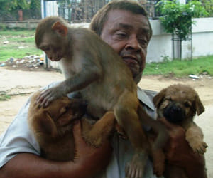pet lover family