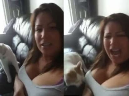 owner bitten by her cat in a video