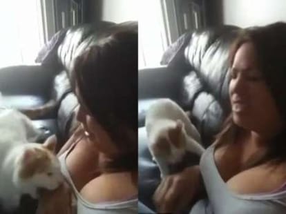 owner bitten by her cat in a video