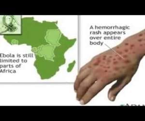 alert in india over Ebola virus
