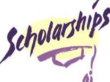 Apply for the scholarship online now