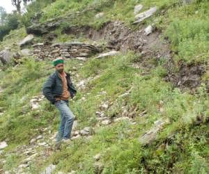 people in panic fishtvani village of rohru is sinking