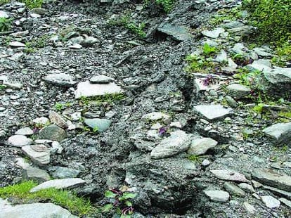 people in panic fishtvani village of rohru is sinking
