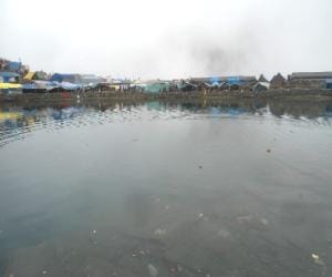 Thousands took the plunge of faith in Dal Lake