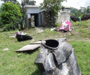 elephant destroy crop in dehradun