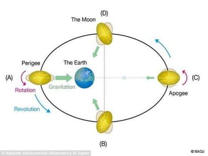 moon has a molten world inside