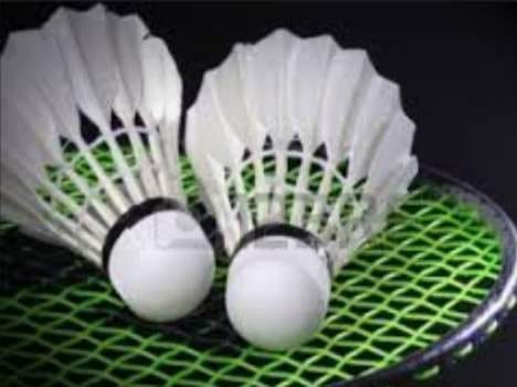 HP announced badminton league teams, these were selected