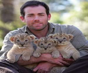See Lions in Chhatbir Zoo