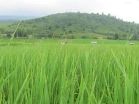 now computerised land record in jammu and kashmir