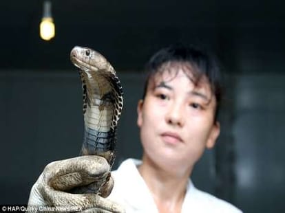 brothers who pets 50000 snakes