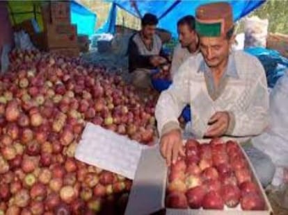 Cold store facility for apple growers in himachal